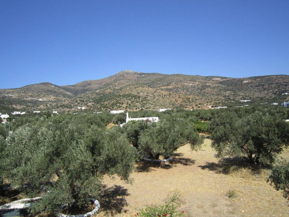 Elisso Villas Platis Gialos  Екстер'єр фото