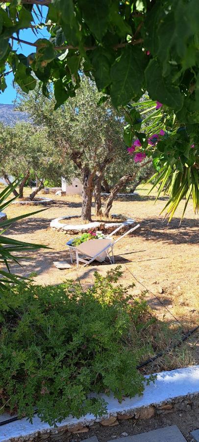 Elisso Villas Platis Gialos  Екстер'єр фото