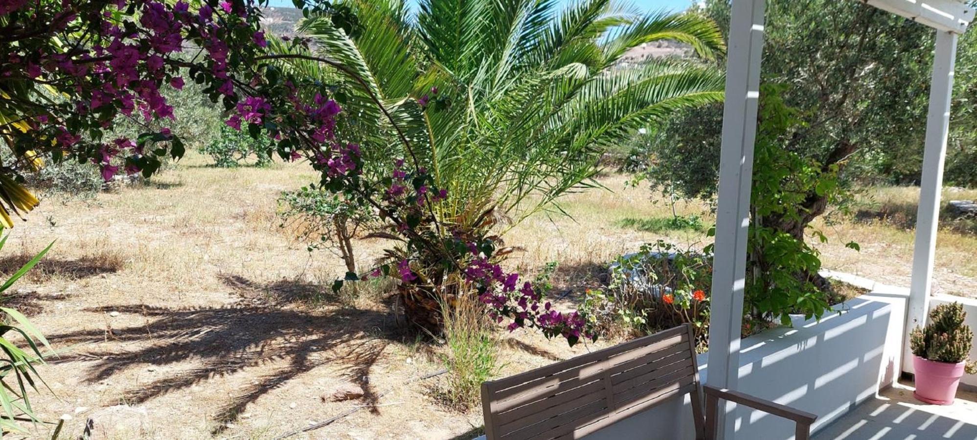 Elisso Villas Platis Gialos  Екстер'єр фото