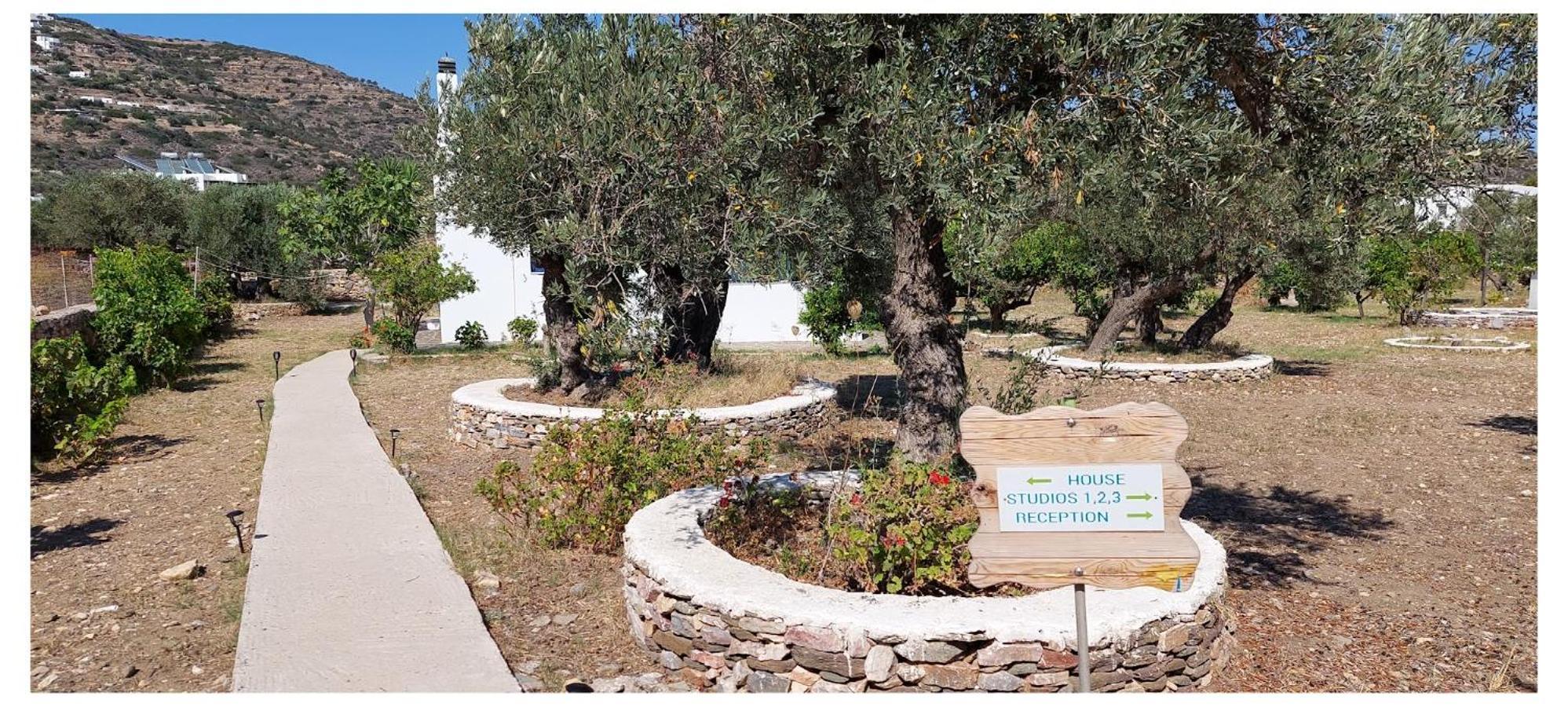 Elisso Villas Platis Gialos  Екстер'єр фото